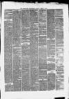 Stockport Advertiser and Guardian Friday 04 April 1873 Page 3