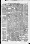 Stockport Advertiser and Guardian Friday 05 January 1877 Page 3