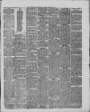 Stockport Advertiser and Guardian Friday 26 April 1878 Page 3