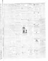 Coleraine Chronicle Saturday 25 March 1848 Page 3