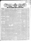 Coleraine Chronicle Saturday 29 June 1850 Page 1