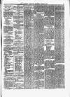 Coleraine Chronicle Saturday 05 April 1873 Page 3