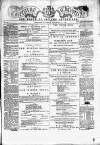 Coleraine Chronicle Saturday 15 November 1873 Page 1