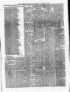 Coleraine Chronicle Saturday 25 January 1879 Page 7
