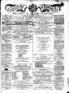 Coleraine Chronicle Saturday 01 January 1881 Page 1
