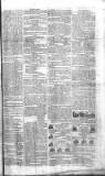 Belfast Commercial Chronicle Wednesday 10 April 1805 Page 3