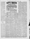 Bedfordshire Mercury Saturday 30 March 1889 Page 7