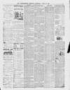Bedfordshire Mercury Saturday 29 June 1889 Page 3