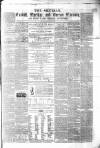 Silurian Saturday 16 June 1855 Page 1