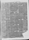 Hull and Eastern Counties Herald Thursday 29 March 1877 Page 5