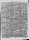 Hull and Eastern Counties Herald Thursday 29 March 1877 Page 7