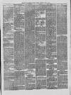 Hull and Eastern Counties Herald Thursday 12 July 1877 Page 7