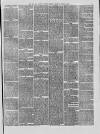 Hull and Eastern Counties Herald Thursday 30 August 1877 Page 3