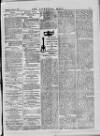Liverpool Mail Saturday 01 June 1878 Page 3