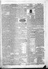 The Pilot Friday 20 November 1829 Page 3