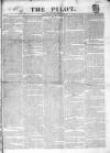 The Pilot Friday 28 November 1834 Page 1