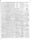 Kilkenny Journal, and Leinster Commercial and Literary Advertiser Wednesday 01 February 1843 Page 3