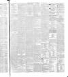 The Evening Freeman. Thursday 01 November 1866 Page 3