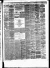 General Advertiser for Dublin, and all Ireland Saturday 13 May 1865 Page 3