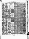 General Advertiser for Dublin, and all Ireland Saturday 03 January 1874 Page 3