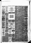 General Advertiser for Dublin, and all Ireland Saturday 10 January 1874 Page 3