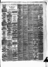 General Advertiser for Dublin, and all Ireland Saturday 21 February 1874 Page 3
