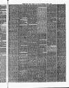 Evening Mail Wednesday 01 June 1864 Page 5