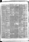 Clare Journal, and Ennis Advertiser Thursday 20 February 1868 Page 3