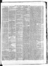 Clare Journal, and Ennis Advertiser Thursday 09 July 1868 Page 3
