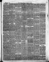 Framlingham Weekly News Saturday 04 December 1869 Page 3
