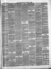 Framlingham Weekly News Saturday 23 March 1878 Page 3