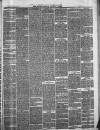 Framlingham Weekly News Saturday 20 March 1880 Page 3