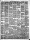 Framlingham Weekly News Saturday 19 June 1880 Page 3