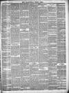Framlingham Weekly News Saturday 10 July 1880 Page 3