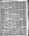 Framlingham Weekly News Saturday 29 April 1882 Page 2