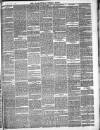 Framlingham Weekly News Saturday 20 May 1882 Page 2