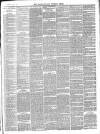 Framlingham Weekly News Saturday 17 November 1883 Page 3