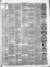 Framlingham Weekly News Saturday 02 March 1889 Page 3