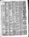 Framlingham Weekly News Saturday 13 April 1889 Page 3