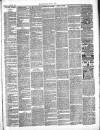 Framlingham Weekly News Saturday 22 June 1889 Page 3