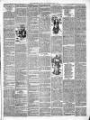 Framlingham Weekly News Saturday 18 June 1892 Page 3