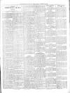 Framlingham Weekly News Saturday 13 January 1917 Page 3