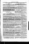 Jewish Chronicle Friday 10 January 1896 Page 13