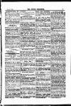 Jewish Chronicle Friday 19 June 1896 Page 25