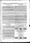 Jewish Chronicle Friday 28 August 1896 Page 17