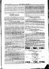 Jewish Chronicle Friday 06 November 1896 Page 19