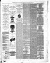 Suffolk Chronicle Saturday 06 January 1872 Page 3