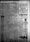 Torbay Express and South Devon Echo Tuesday 08 April 1924 Page 3