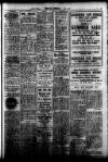 Torbay Express and South Devon Echo Wednesday 25 June 1930 Page 3