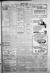 Torbay Express and South Devon Echo Thursday 02 November 1933 Page 3